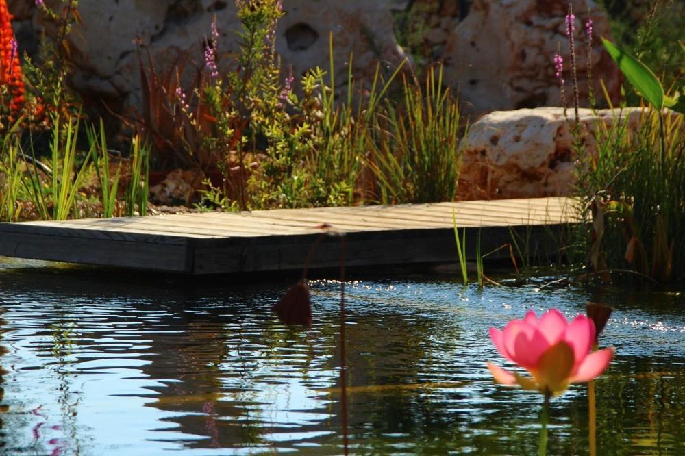 Il Fiore Della Vita Trulli Country House Конверсано Екстериор снимка
