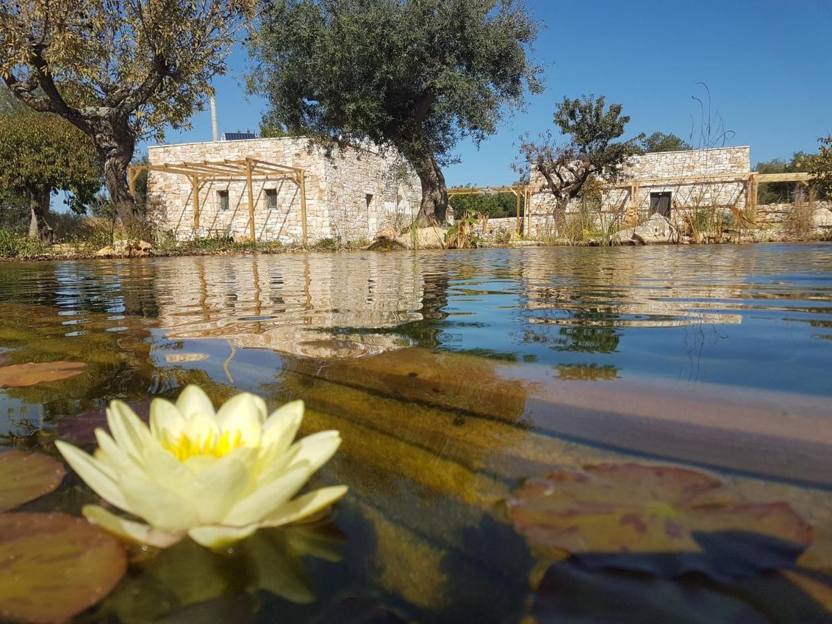Il Fiore Della Vita Trulli Country House Конверсано Екстериор снимка