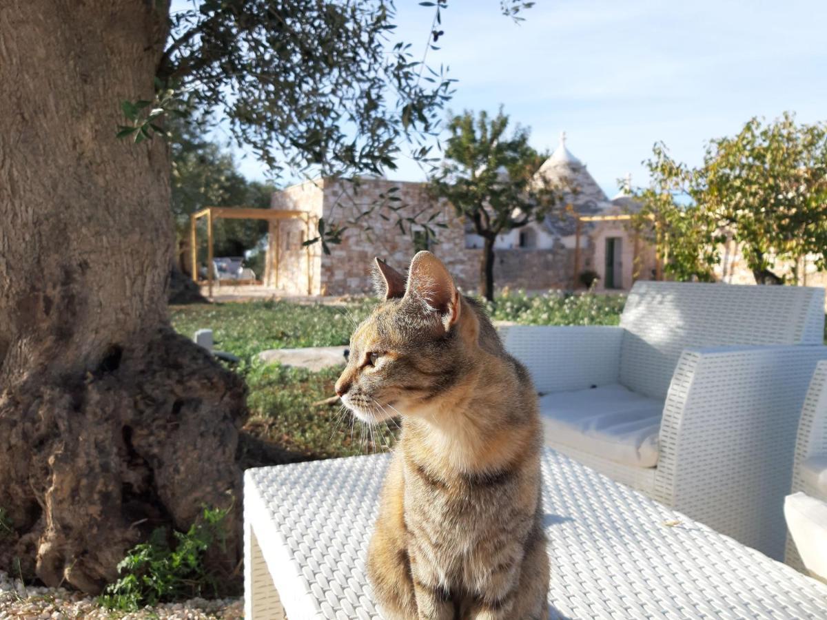 Il Fiore Della Vita Trulli Country House Конверсано Екстериор снимка