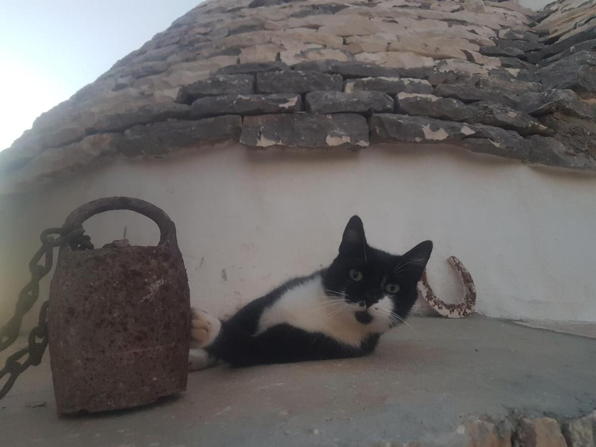 Il Fiore Della Vita Trulli Country House Конверсано Екстериор снимка