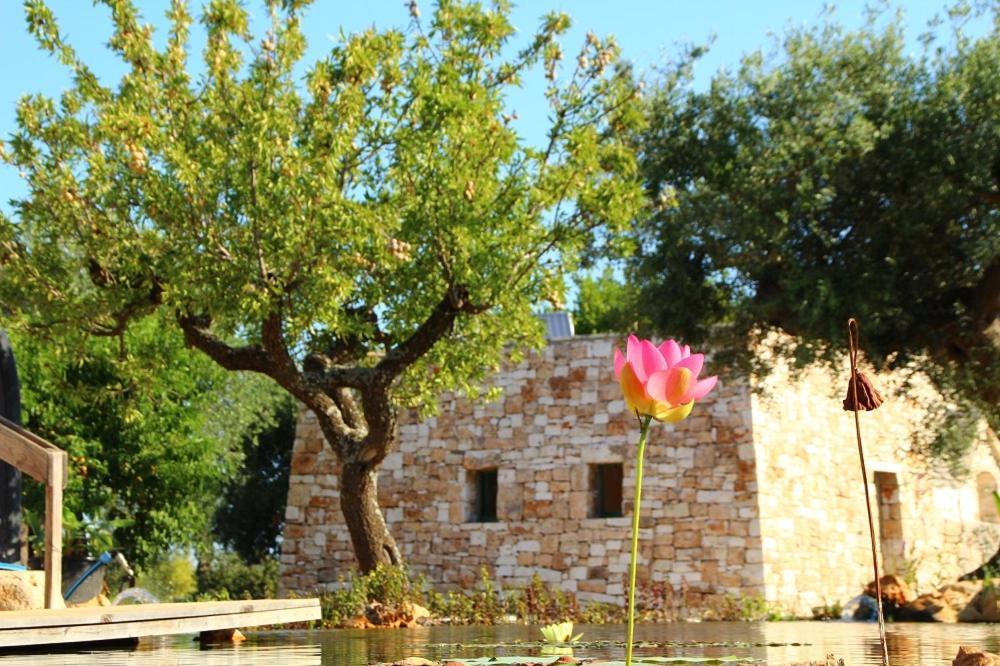 Il Fiore Della Vita Trulli Country House Конверсано Екстериор снимка